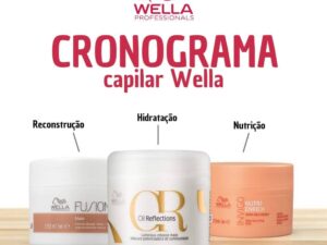 Cronograma Capilar